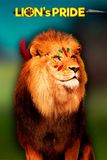 Lions Pride
