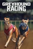 Greyhound Racing